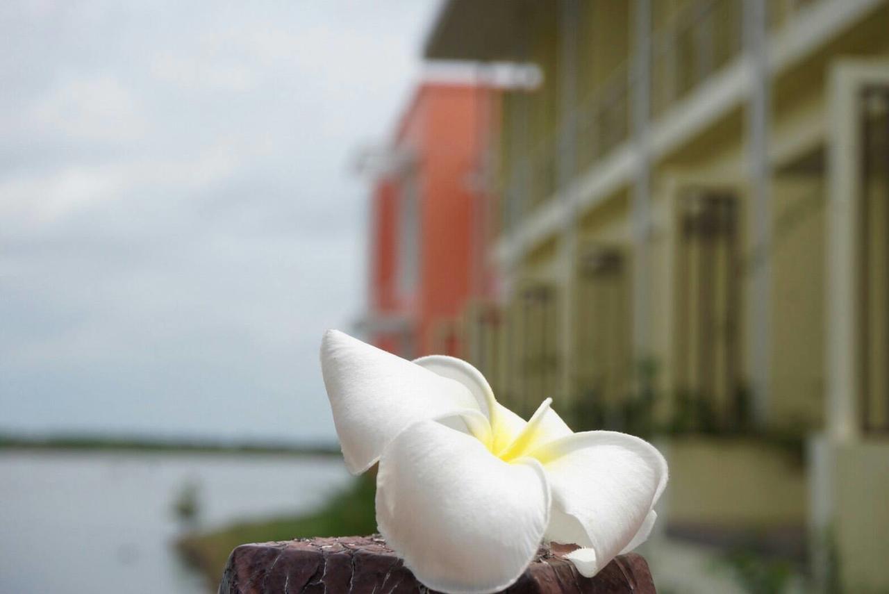Baan Talay See Cream Resort Samut Songkhram Eksteriør bilde